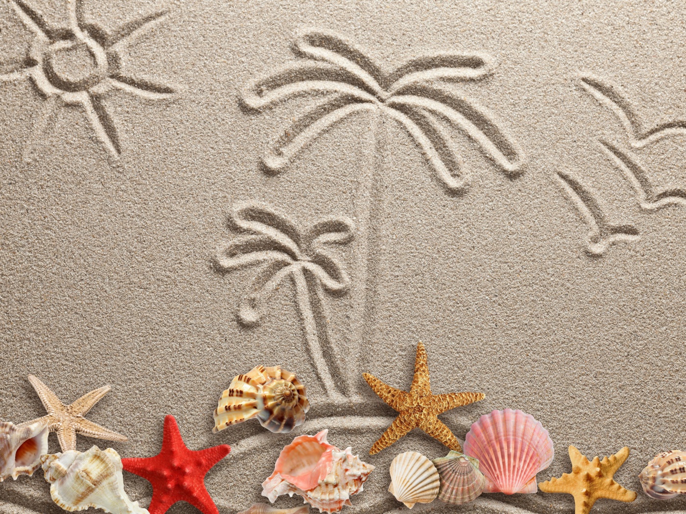 Screenshot №1 pro téma Seashells Texture on Sand 1400x1050