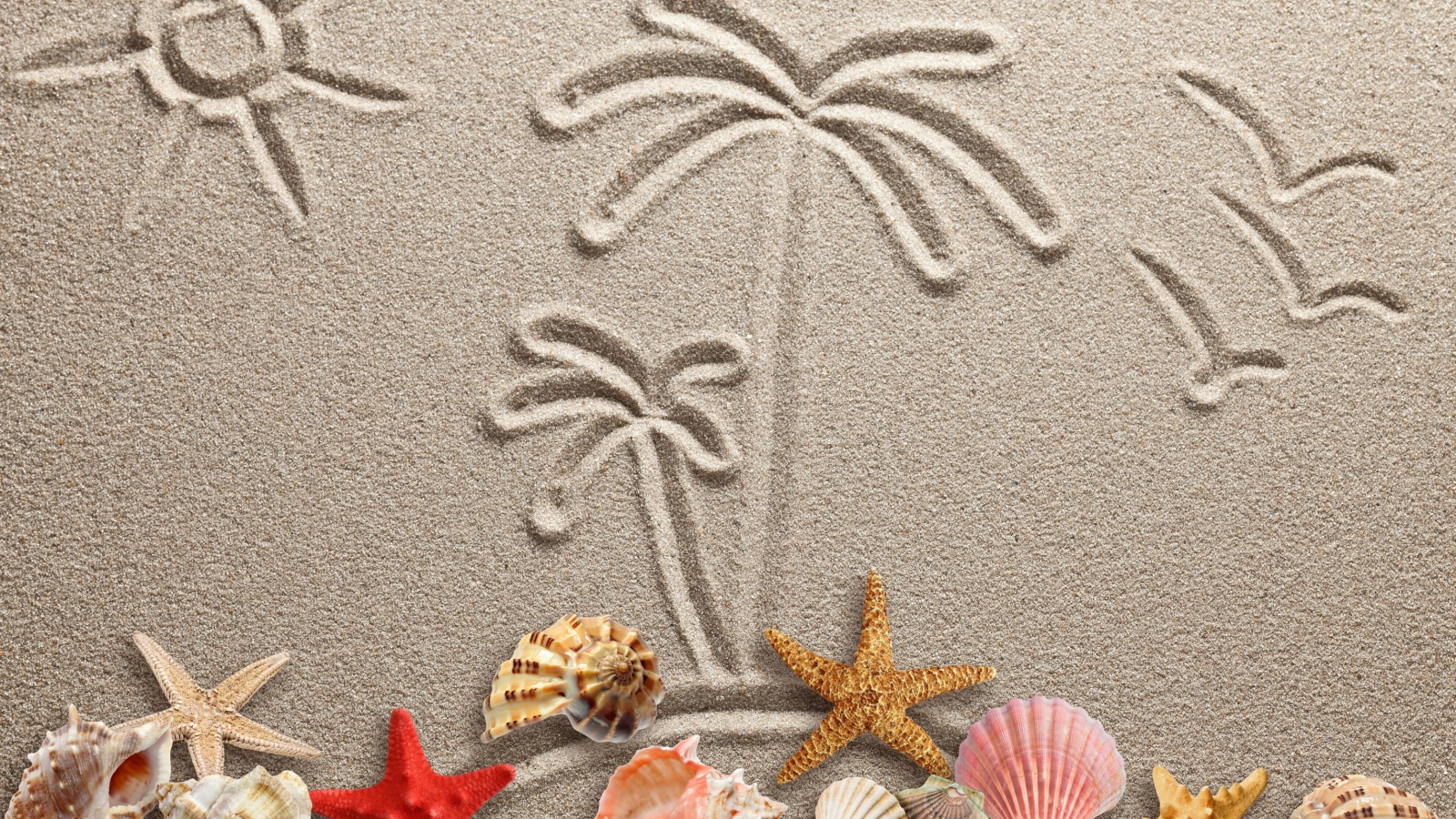 Обои Seashells Texture on Sand 1600x900