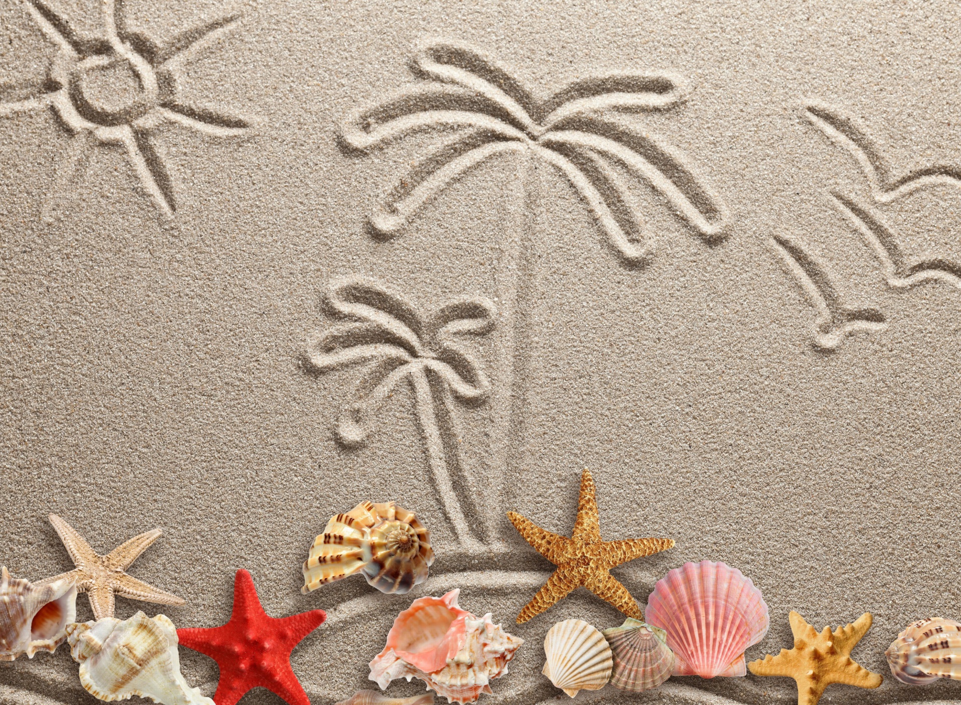 Das Seashells Texture on Sand Wallpaper 1920x1408