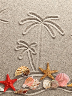 Обои Seashells Texture on Sand 240x320