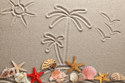 Das Seashells Texture on Sand Wallpaper 480x320