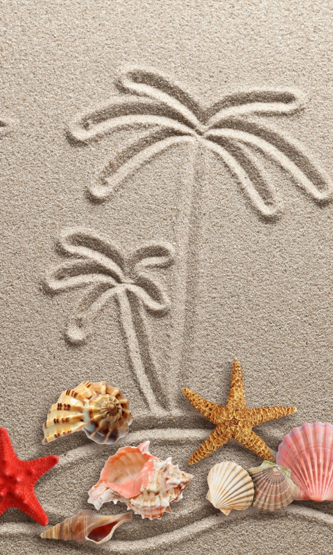 Обои Seashells Texture on Sand 480x800