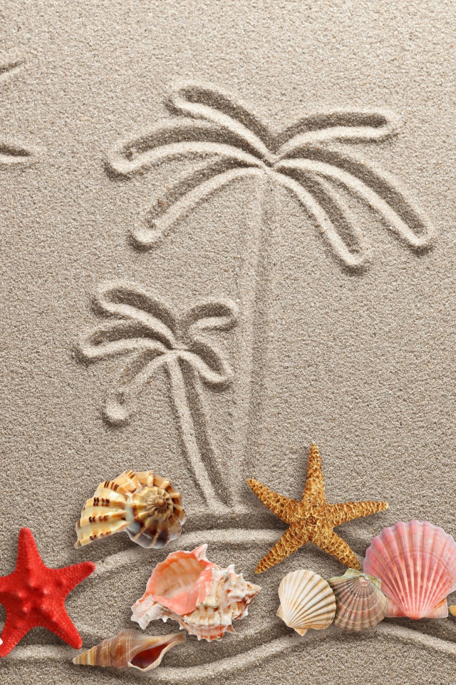 Обои Seashells Texture on Sand 640x960