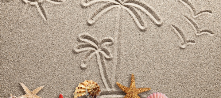 Обои Seashells Texture on Sand 720x320
