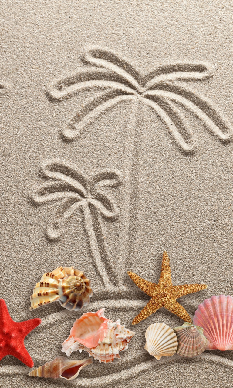 Seashells Texture on Sand wallpaper 768x1280