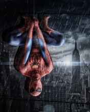 Обои Spiderman Under Rain 176x220