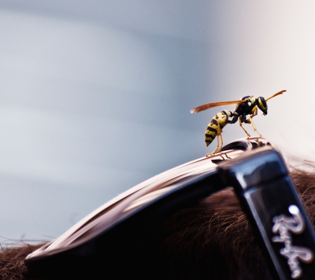Bee On Rayban Glasses wallpaper 1080x960