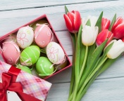 Easter Tulips Decoration wallpaper 176x144