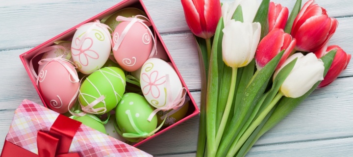 Easter Tulips Decoration wallpaper 720x320