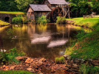 Farm Cottage screenshot #1 320x240
