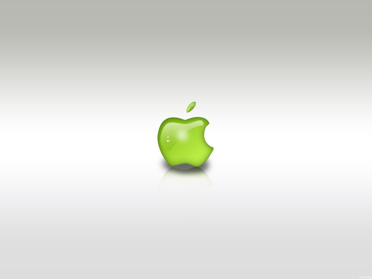 Das Green Apple Logo Wallpaper 1280x960