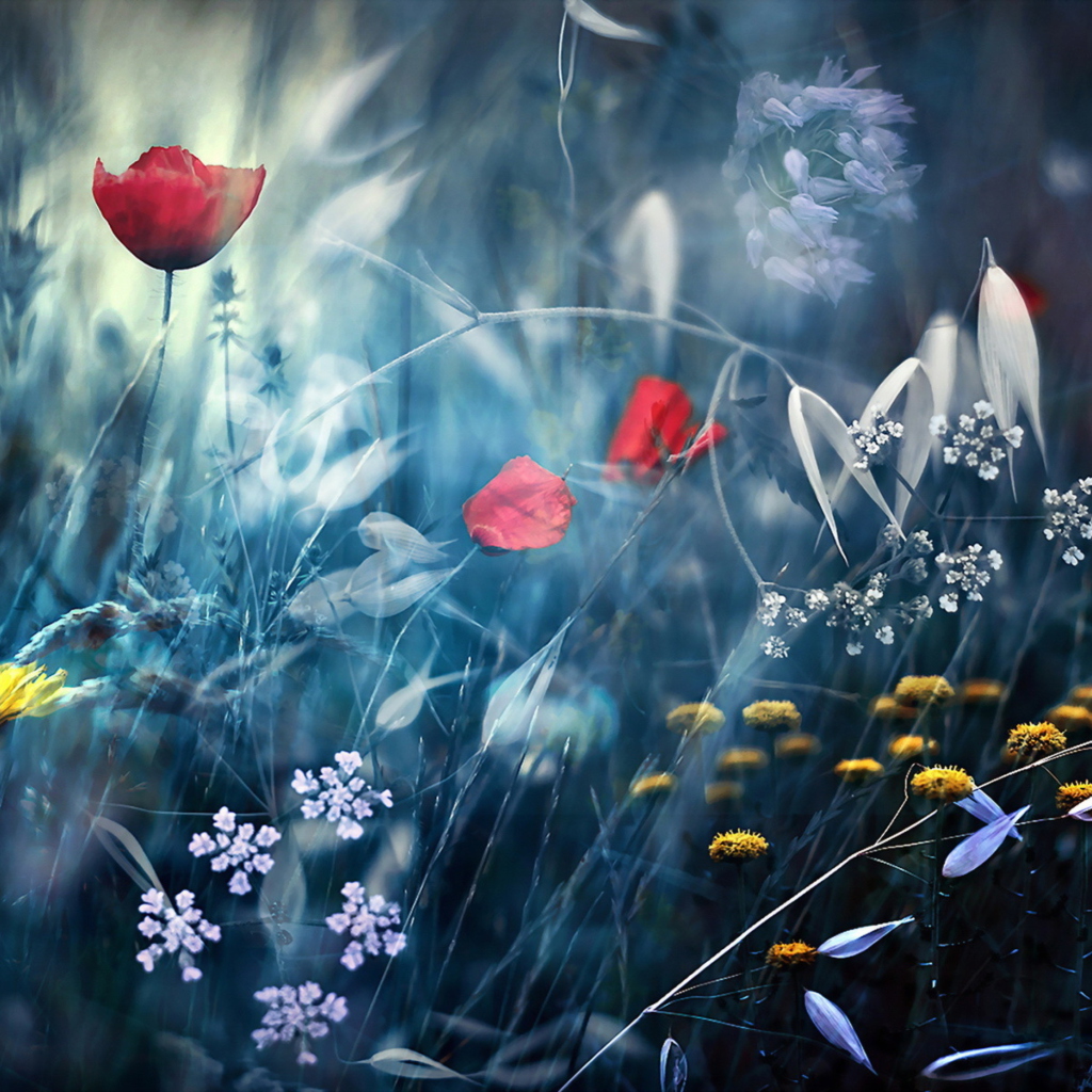 Das Magical Flower Field Wallpaper 1024x1024