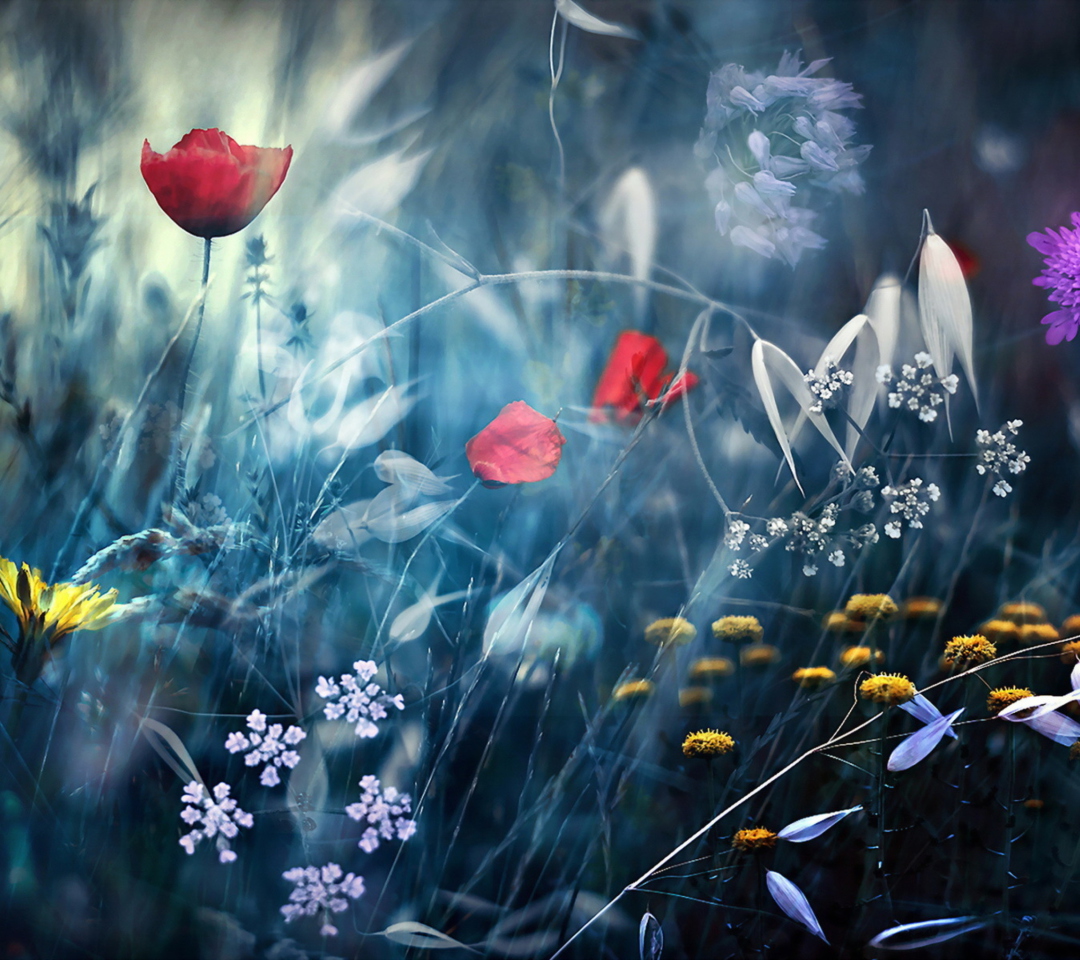 Das Magical Flower Field Wallpaper 1080x960