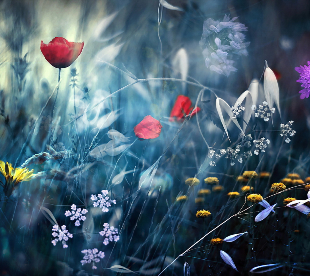 Обои Magical Flower Field 1080x960