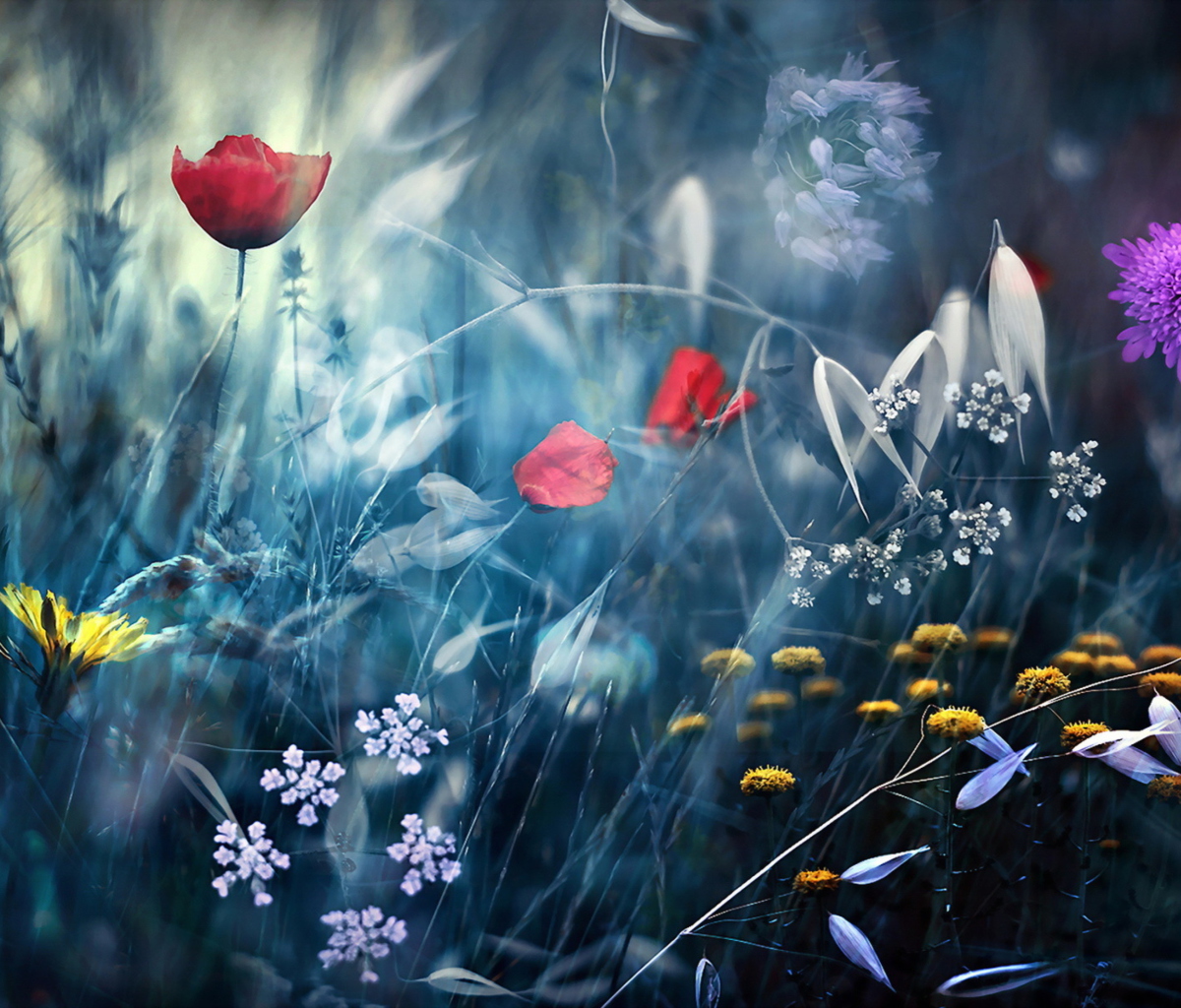 Das Magical Flower Field Wallpaper 1200x1024