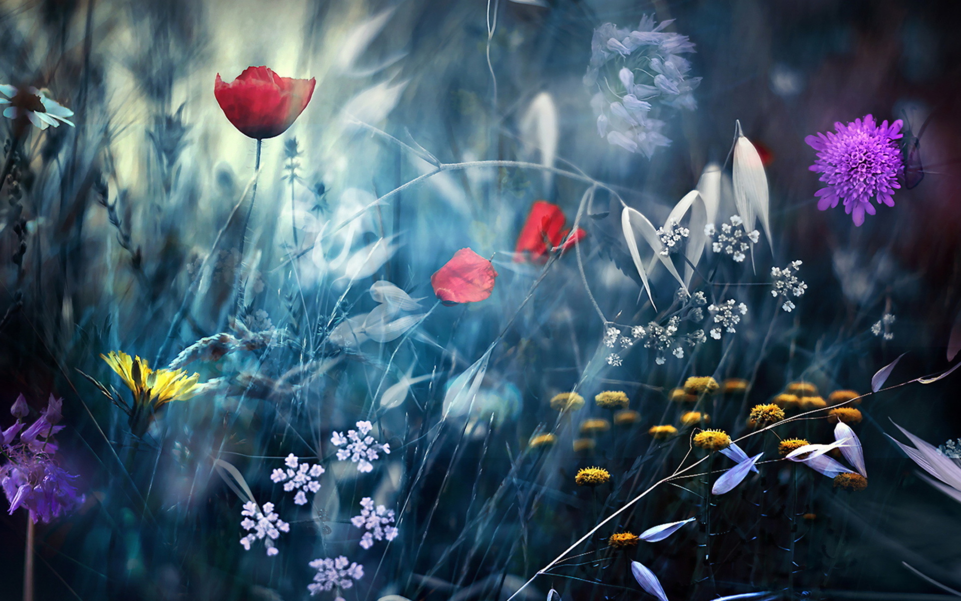 Magical Flower Field screenshot #1 1920x1200