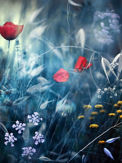 Das Magical Flower Field Wallpaper 480x640