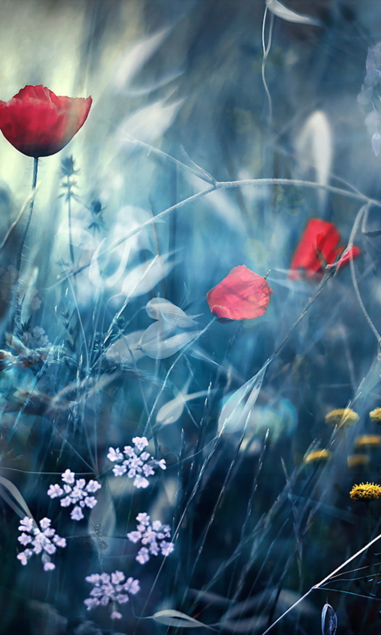 Das Magical Flower Field Wallpaper 768x1280