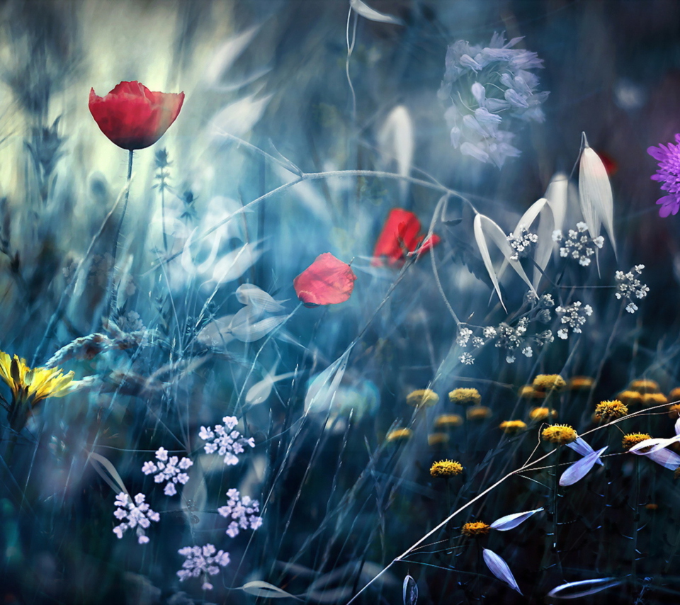 Magical Flower Field wallpaper 960x854