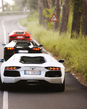 Lamborghini Cars screenshot #1 176x220