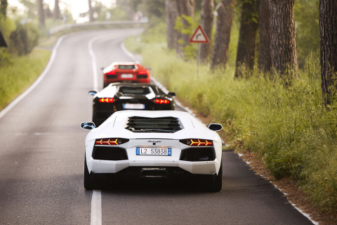 Lamborghini Cars screenshot #1 480x320