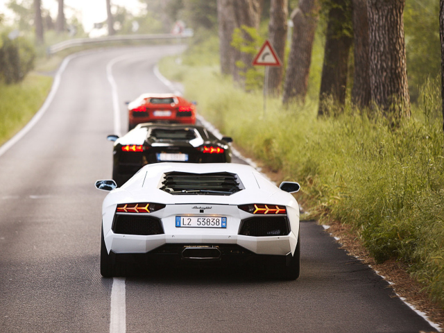 Обои Lamborghini Cars 640x480