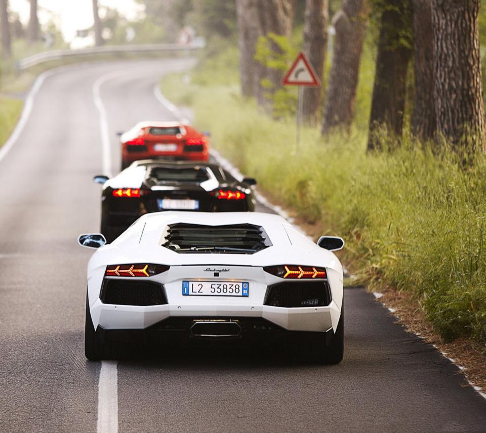 Обои Lamborghini Cars 960x854
