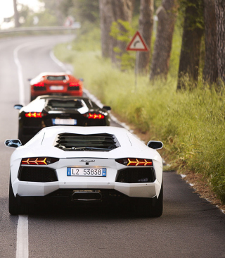 Kostenloses Lamborghini Cars Wallpaper für 768x1280