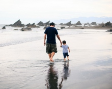 Обои Father And Child Walking By Beach 220x176