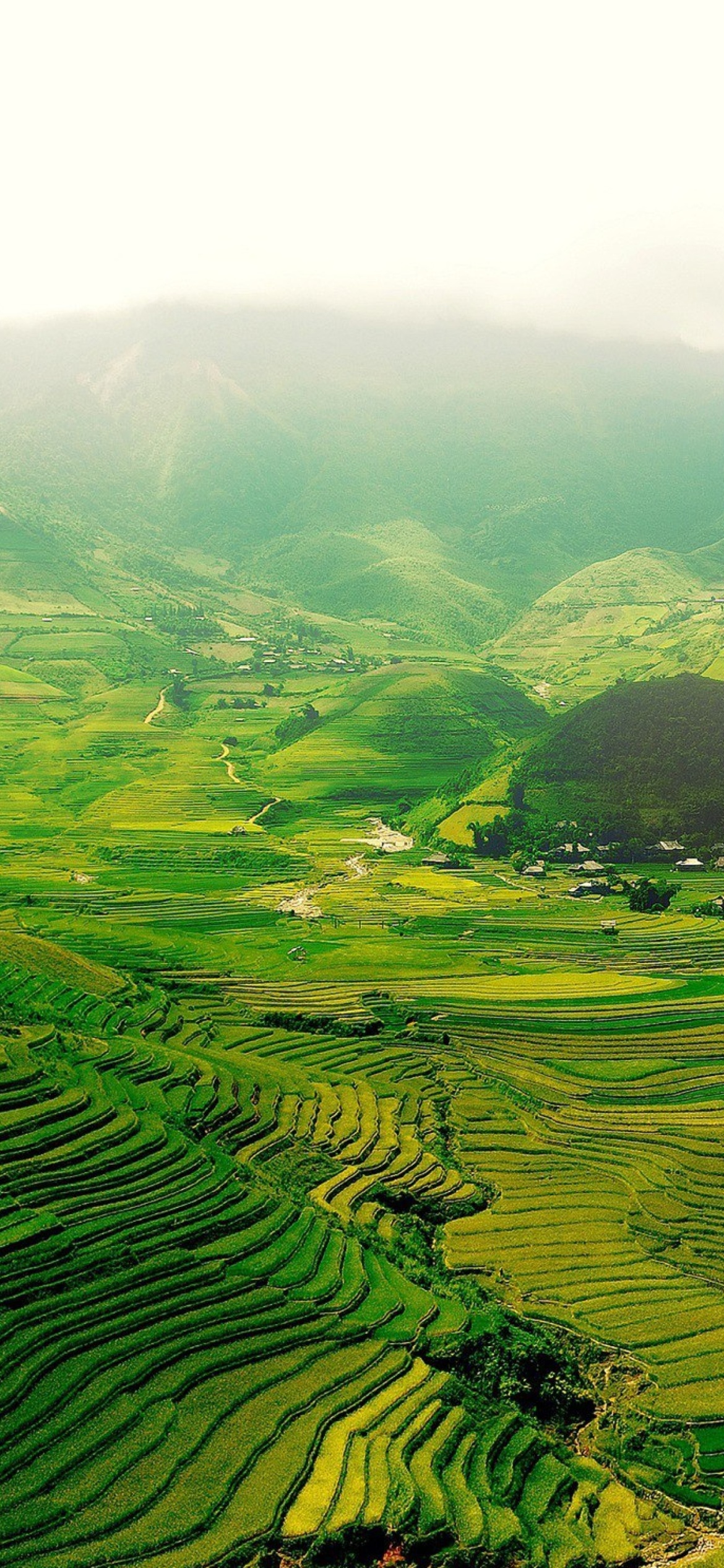 Das Vietnam Landscape Field in Ninhbinh Wallpaper 1170x2532