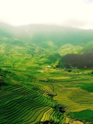 Vietnam Landscape Field in Ninhbinh wallpaper 132x176
