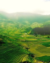 Screenshot №1 pro téma Vietnam Landscape Field in Ninhbinh 176x220
