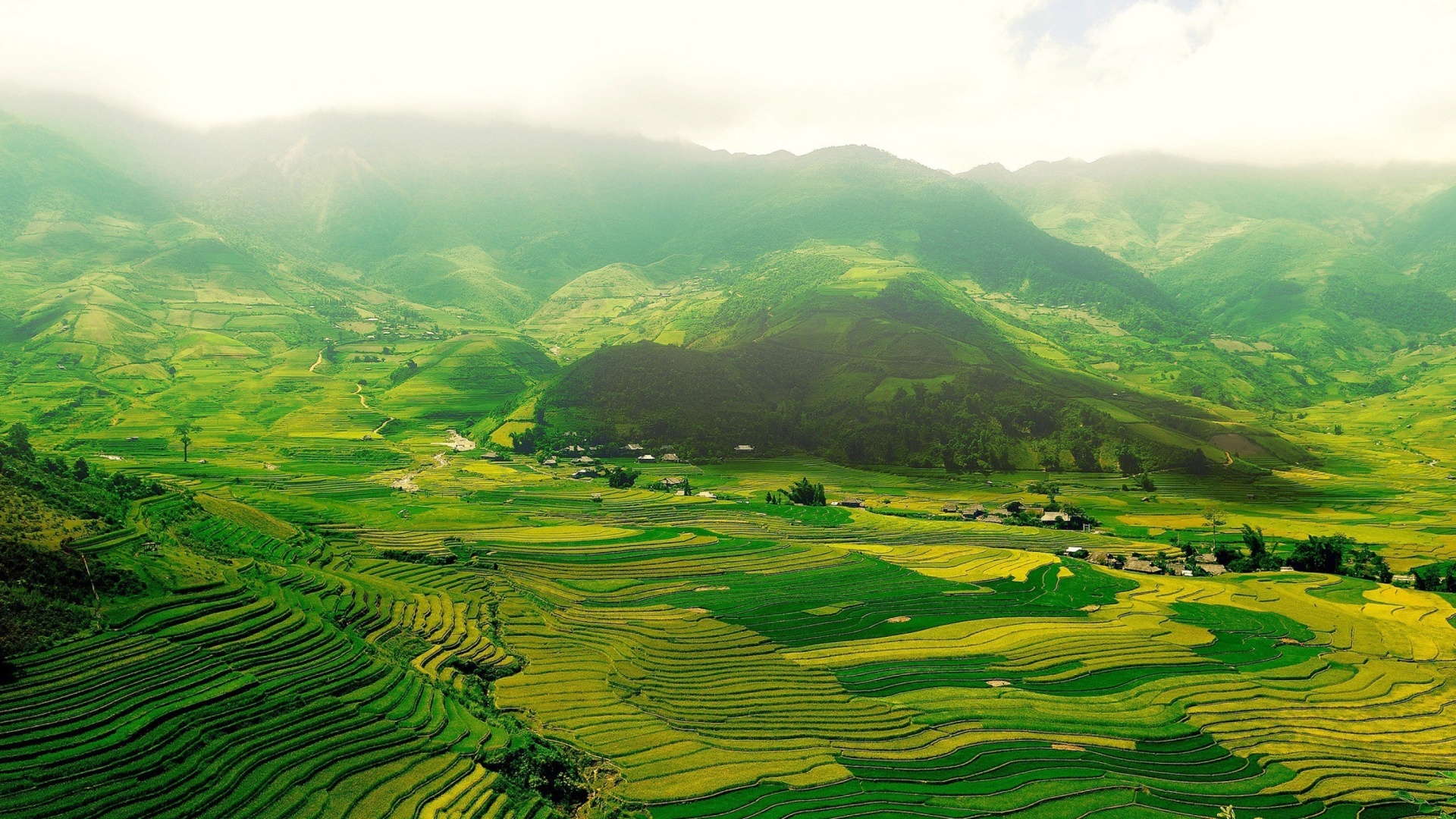 Fondo de pantalla Vietnam Landscape Field in Ninhbinh 1920x1080