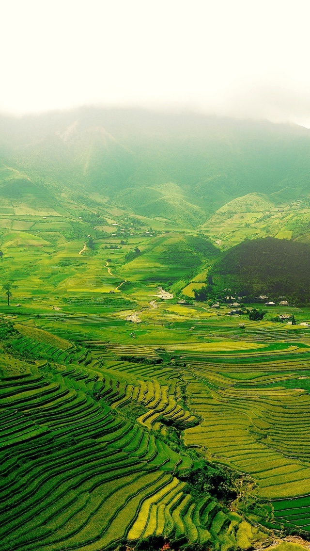 Das Vietnam Landscape Field in Ninhbinh Wallpaper 640x1136