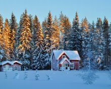 Das Home under Snow Wallpaper 220x176