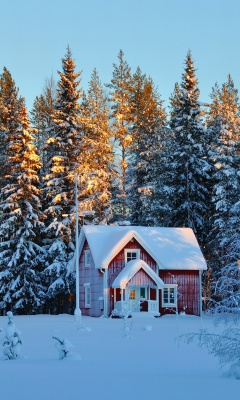 Das Home under Snow Wallpaper 240x400
