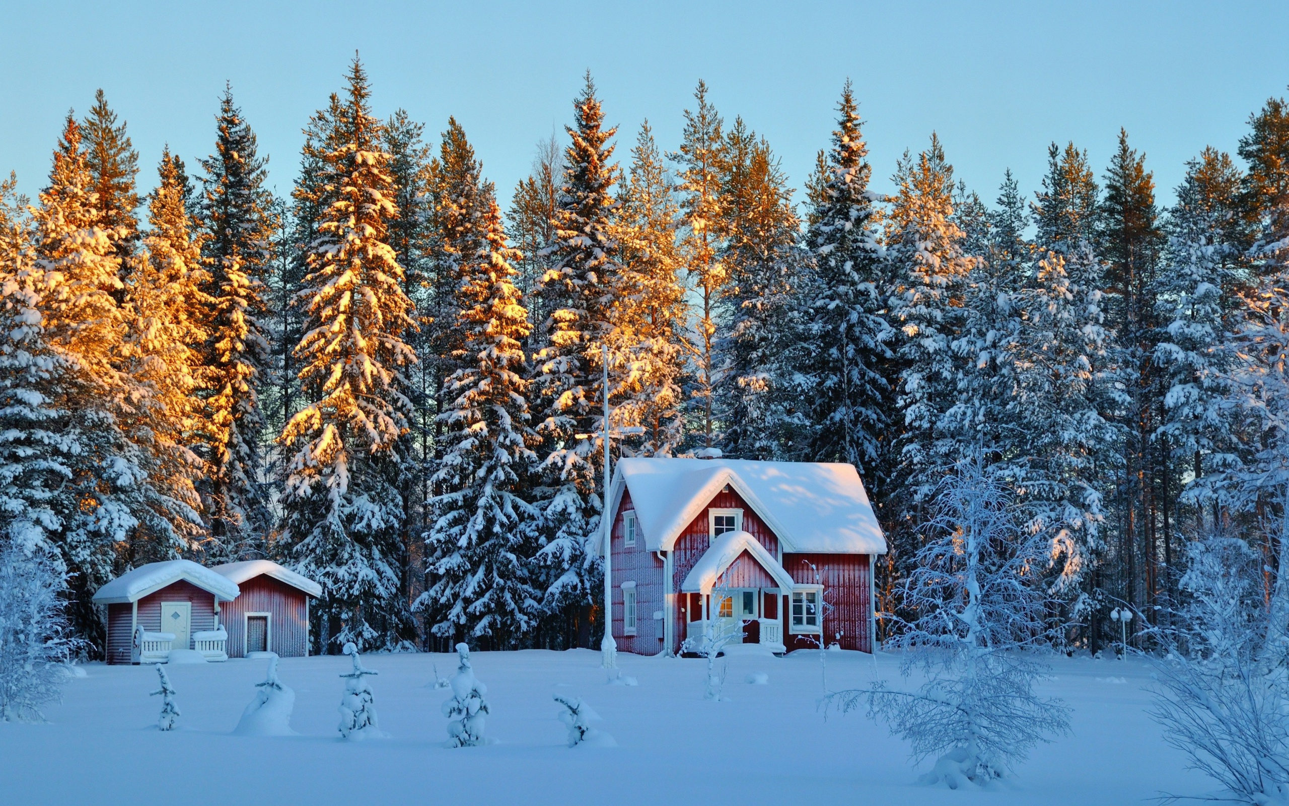Обои Home under Snow 2560x1600