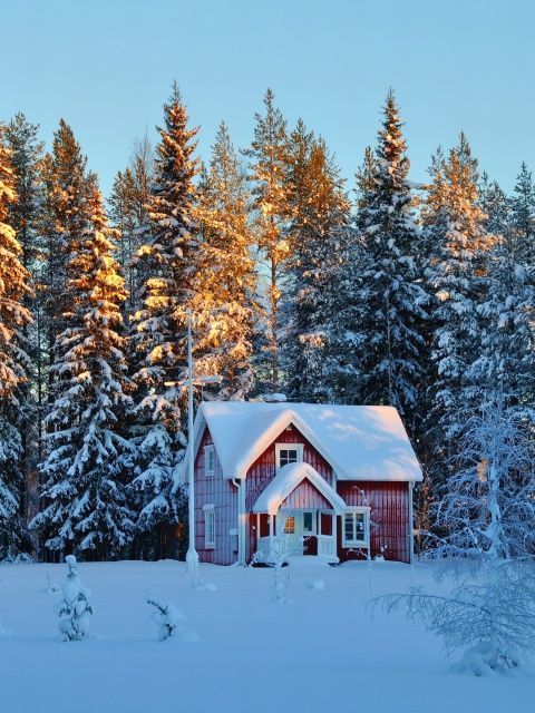 Das Home under Snow Wallpaper 480x640
