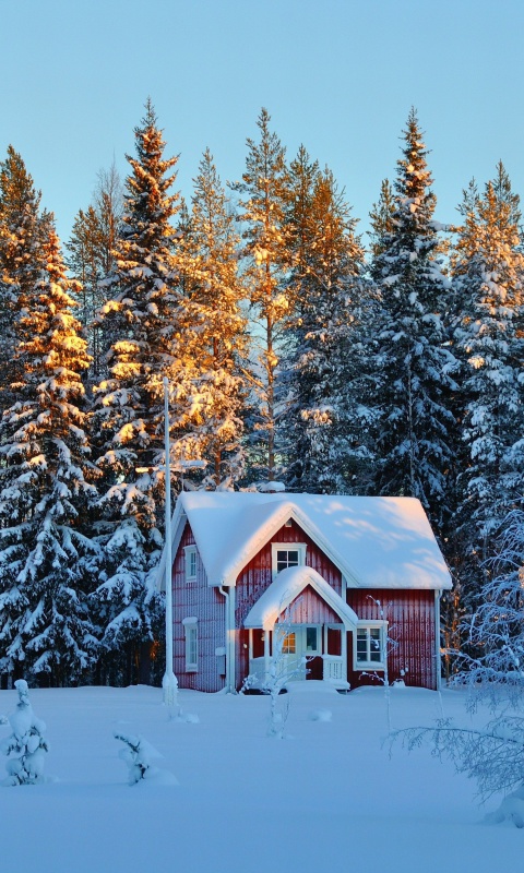 Home under Snow wallpaper 480x800