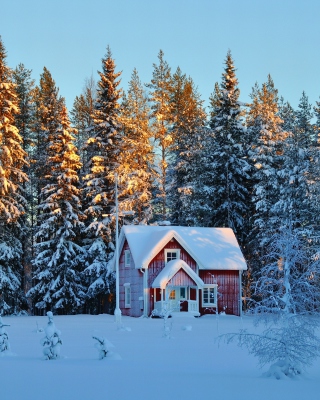Kostenloses Home under Snow Wallpaper für 240x320