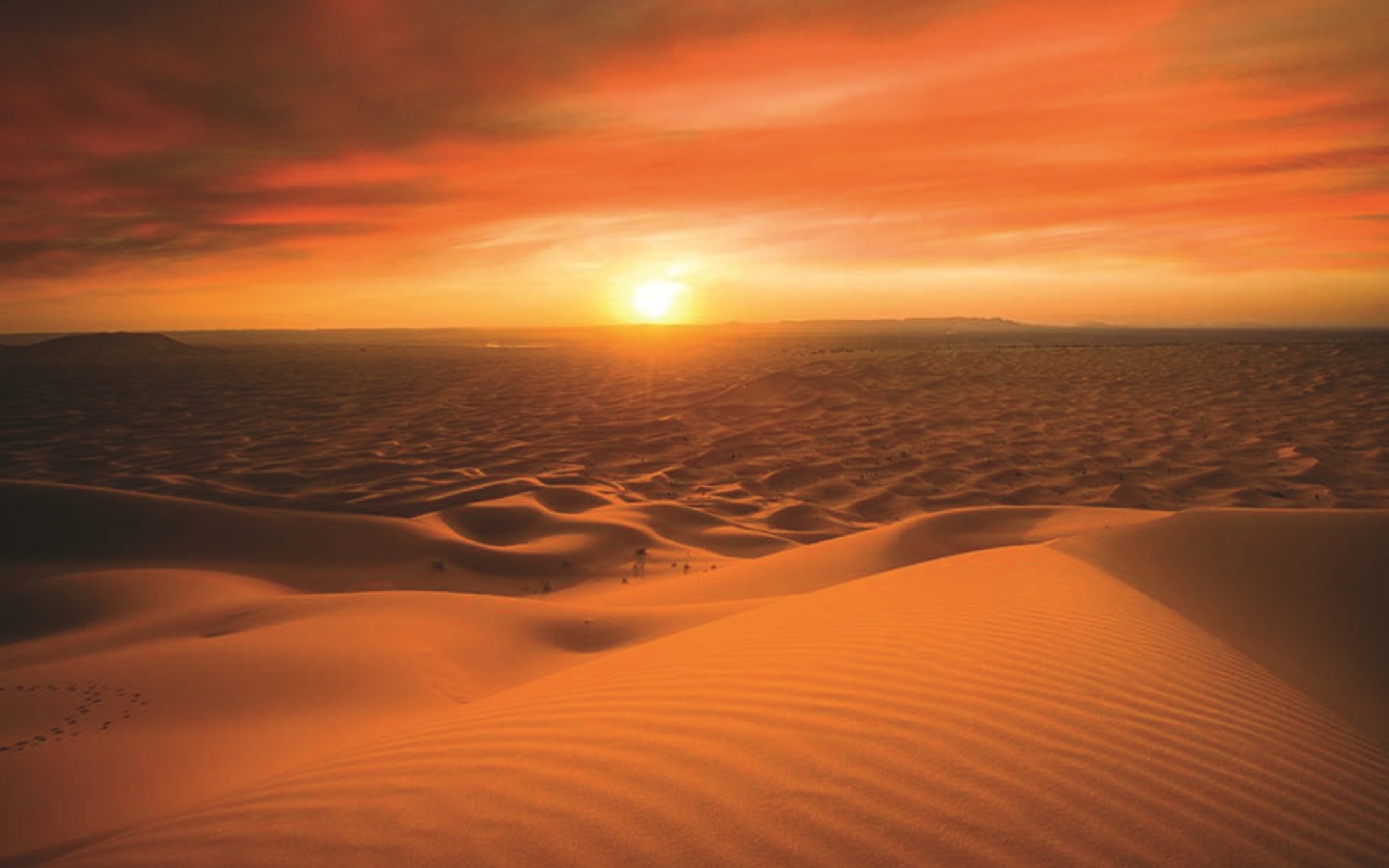 Fondo de pantalla Morocco Sahara Desert 1440x900