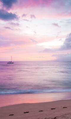 Amazing Pink Landscape screenshot #1 240x400