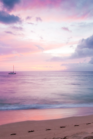 Sfondi Amazing Pink Landscape 320x480