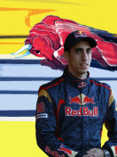 Screenshot №1 pro téma Red Bull Team F1 132x176