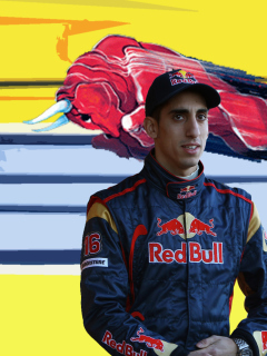 Screenshot №1 pro téma Red Bull Team F1 240x320