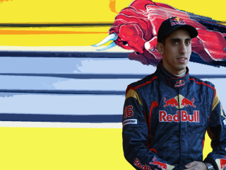 Обои Red Bull Team F1 320x240