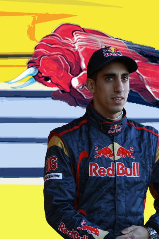 Fondo de pantalla Red Bull Team F1 320x480