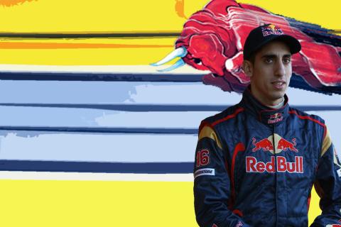 Red Bull Team F1 wallpaper 480x320