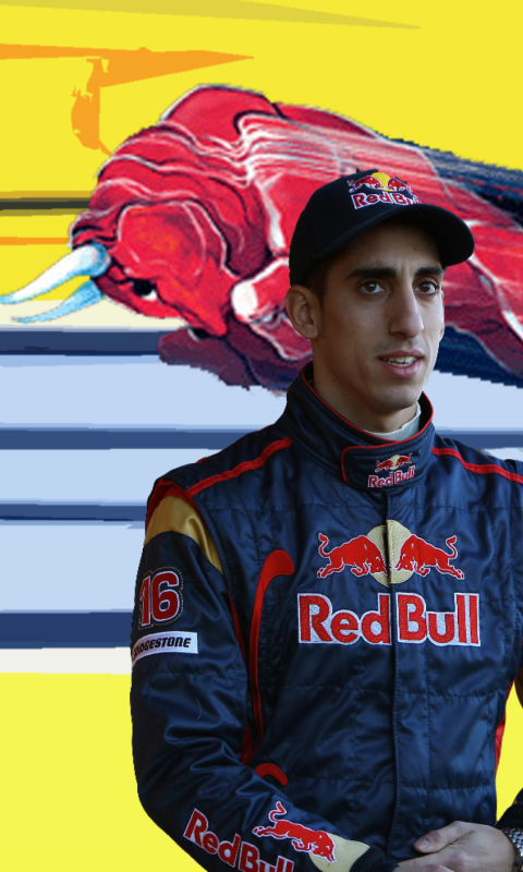 Fondo de pantalla Red Bull Team F1 480x800