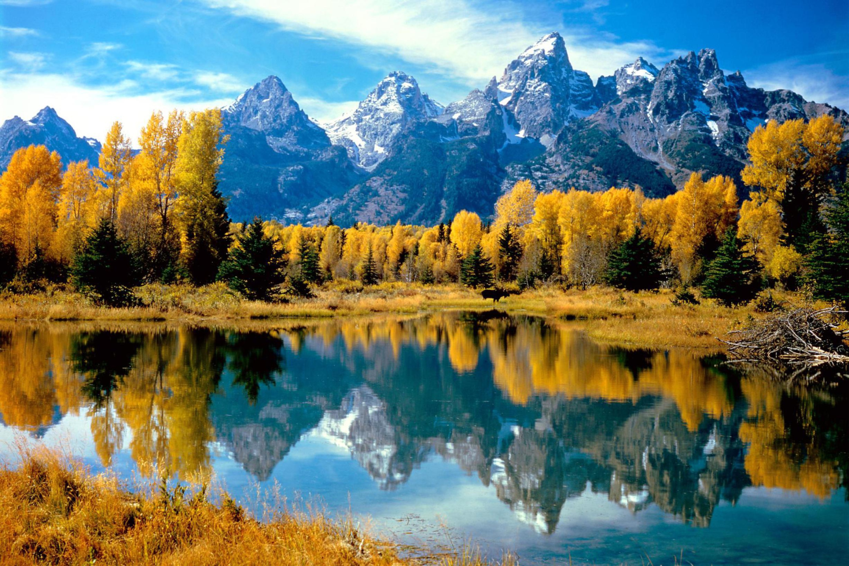 Обои Grand Teton National Park, Wyoming 2880x1920